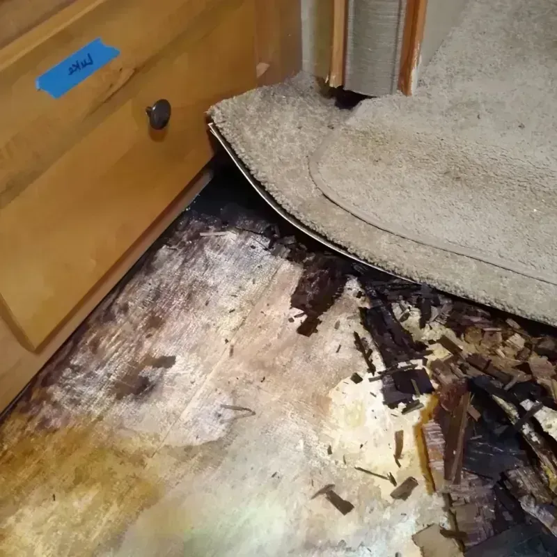 Wood Floor Water Damage in Gardendale, AL